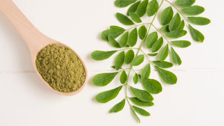 Moringa.jpg