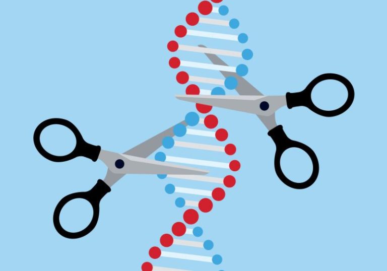 Geneediting 800x560 M.jpg