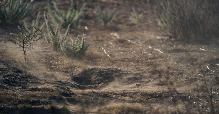 Valleyfever Lede Climatedesk Gettyimages 1771553132.jpg