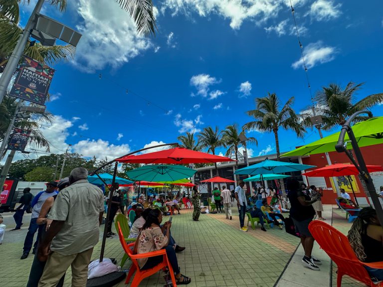 Little Haiti Book Festival Miami 2024 Vania Andre 69 1.jpg