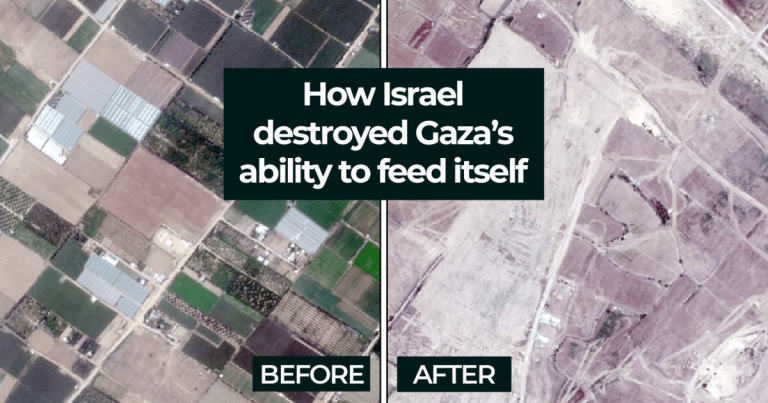 Interactive Gaza Agriculture Homepage 1719897384.png