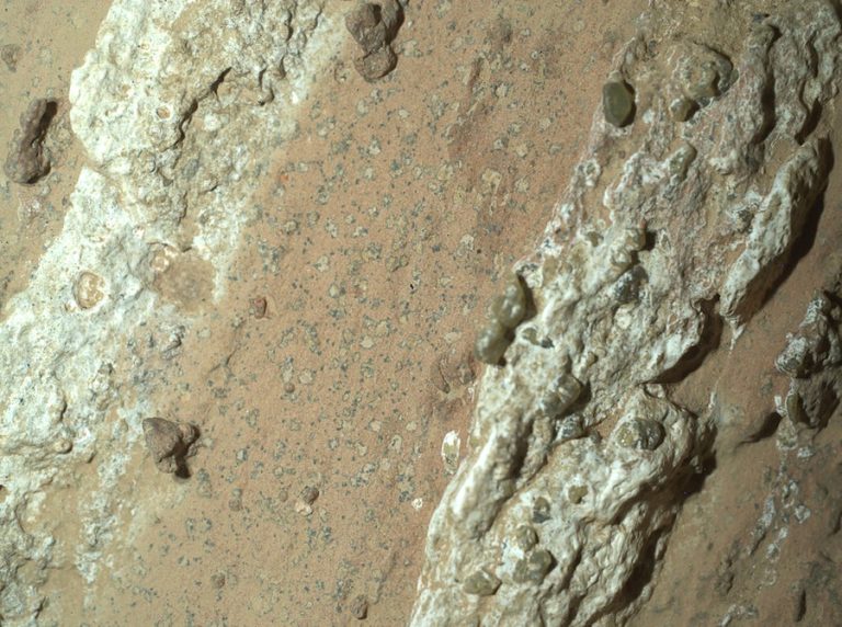 Pia26368 Web.jpg