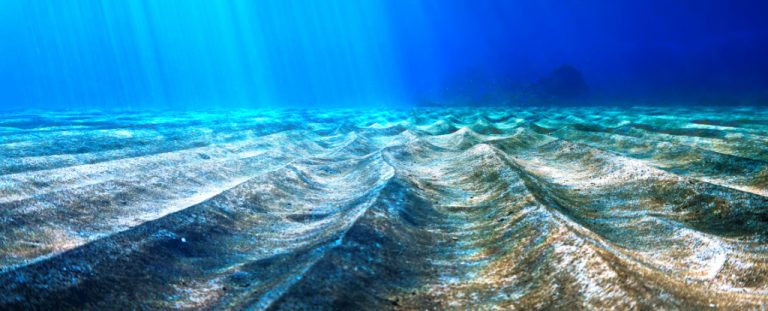 Raysofsunlightonrippledseafloor.jpg