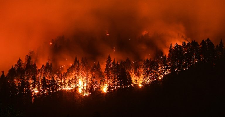 Science Wildfires Shutterstock 710588224.jpg