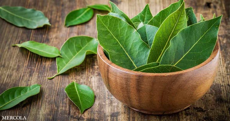 Bay Leaves Fb.jpg