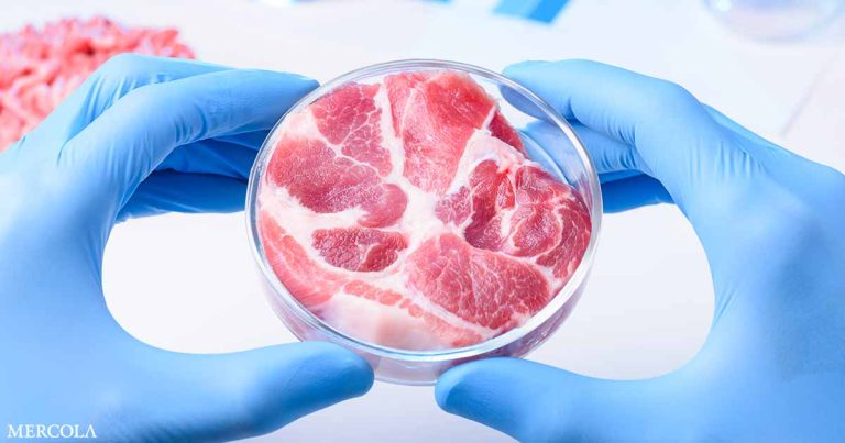 Florida Ban Lab Grown Meat Fb.jpg